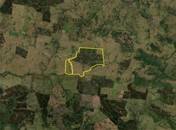 BPV-BPV-6390_2 · Venta de Campo Forestal - Ganadero en Rocha / Maldonado