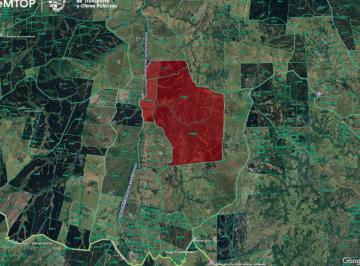 BPV-BPV-6390_2 · Venta de Campo Forestal - Ganadero en Rocha / Maldonado