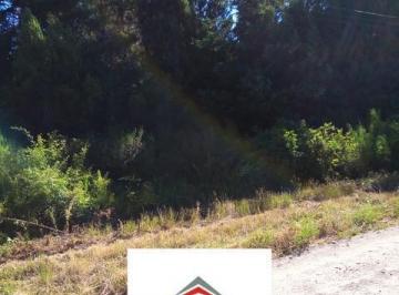 Campo · 10000m² · Chacra - Cerro Radal