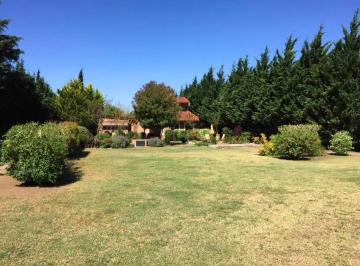 Foto · Venta Hermosa Casa Quinta con Gran Terreno Parquizado