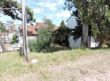 SRD-SRD-244_2 · Lote. | Paseo 123 Bis Al 100