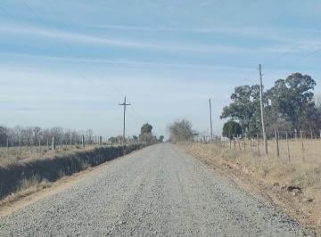 Campo de 5 ambientes, Brandsen · 116 Ha - Coronel Brandsen