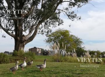 Terreno · 1000m² · Excelente Lote!