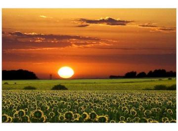 Campo · 247m² · Propiedades Rurales - Industrializacion - Moreno, Gran Bs. As. Oeste