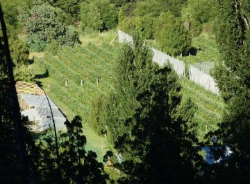 Foto aérea · Chacra en Epuyen con Plantación de Frambuesas Orgánicas