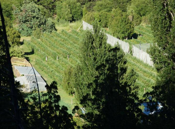Campo · 680m² · 4 Ambientes