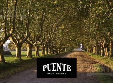 Terreno · 1250m² · Terreno - Estancia Villa Maria - Canning - Ezeiza - Lote - Ezeiza - Barrio con Seguridad