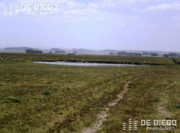 Campo · Venta Pintoresca Chacra Cercana a Laguna Garzon Rocha