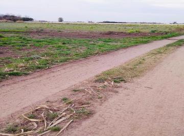 Campo · 80000m² · 1 Ambiente · 8 Hectáreas a La Venta en Av Ntra Sra del Rosario 1105