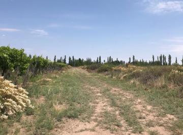 Terreno , Rivadavia · Venta de Finca/campo Inculto de 33 Has en La Central - Rivadavia