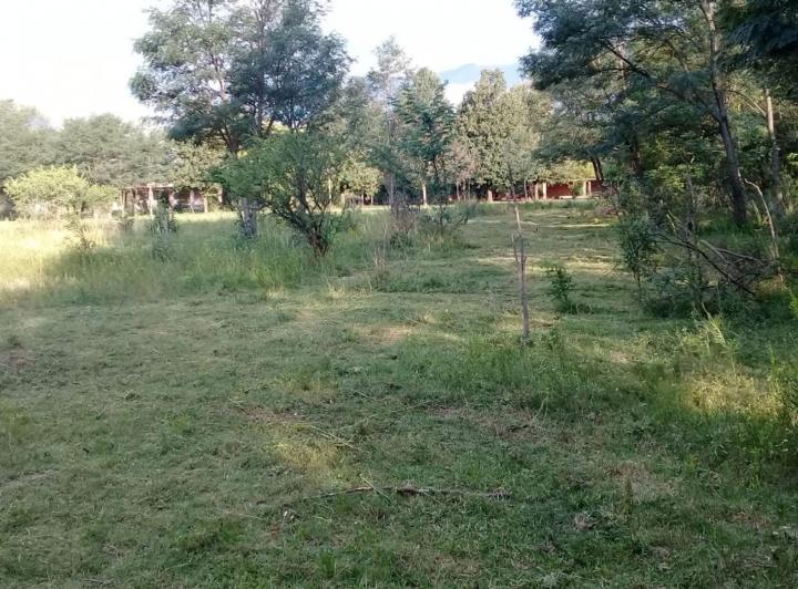 Terreno · 10000m²