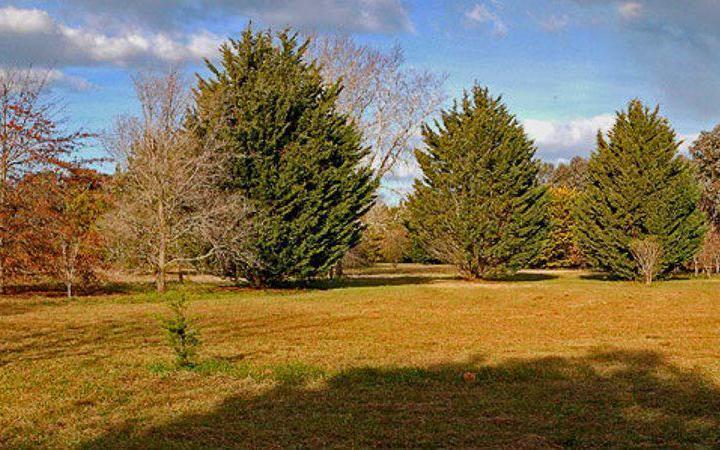 Terreno · 2132m²