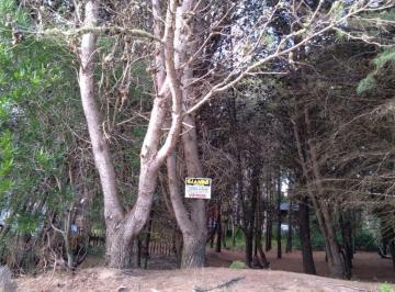 GIA-GI2-2094_2 · Excelente Lote de 325 m² - Hermoso Entorno Boscoso!