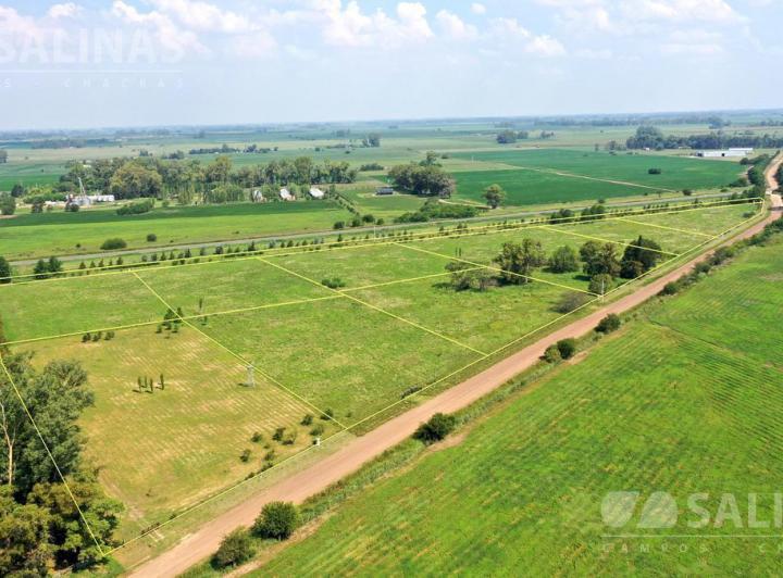 Terreno · 10000m²