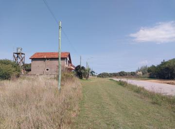 BPV-BPV-6631_2 · Lote | Tiburones