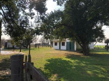 Campo · 1m² · Venta Ibarlucea - 12 Ha