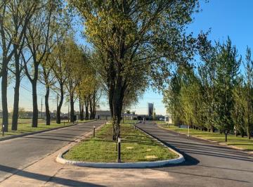 Terreno , Esteban Echeverría · Excelente Lote en Alameda