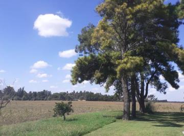 Campo · 30000ha · Campo en Venta - Casilda