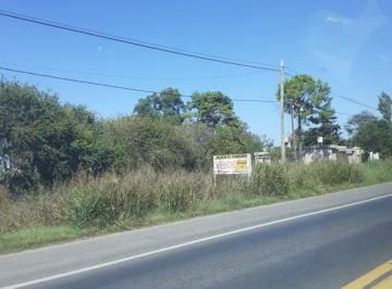 Campo · 1ha · Campo en Venta - Casilda