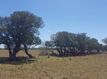 Foto1 · Chacra en Zona Rural - Zona Rural