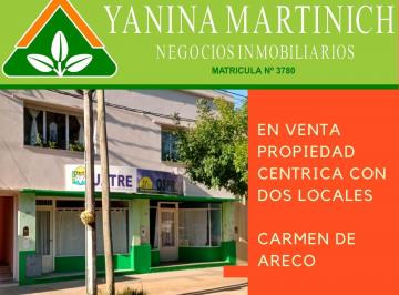 Casa de 4 ambientes, Carmen de Areco · En Venta Propiedad con Dos Locales Comerciales