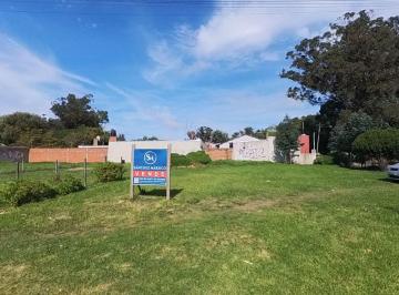 Terreno , Mar del Plata · Venta Lote Comercial Avda. Mario Bravo, Mar del Plata, Bajo de Precio!