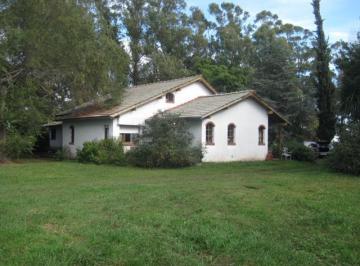Campo · 1050000m² · Campo Sobre Ruta 88 de 105 Ha