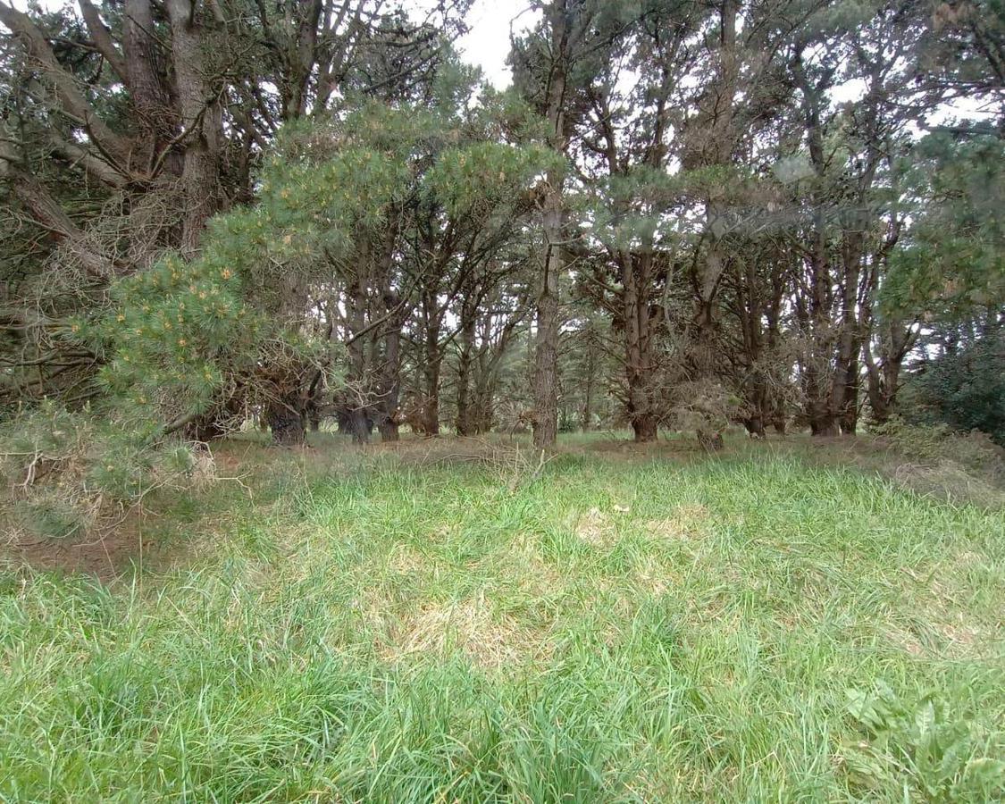 Terreno en Bº El Marquesado - Calle 21 entre 26 y 30 - Ruta 11 camino a Miramar