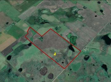 Campo · 780000m² · Campo - Balcarce