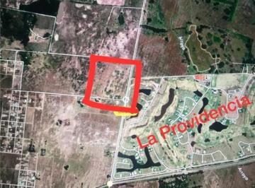 Campo · 21ha · Propiedades Rurales - Chacra - Tristán Suárez, Gran Bs. As. Oeste Sur