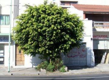 Terreno · 88m² · 6 Ambientes · 1 Cochera · Terreno - Belgrano