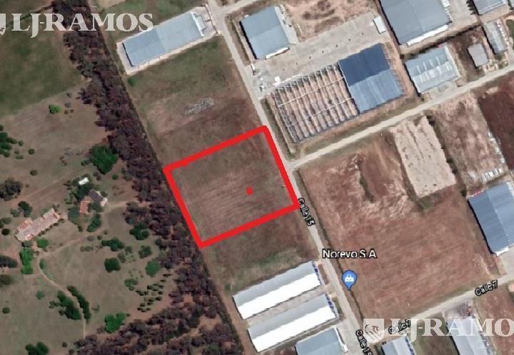 Terreno · 5000m²