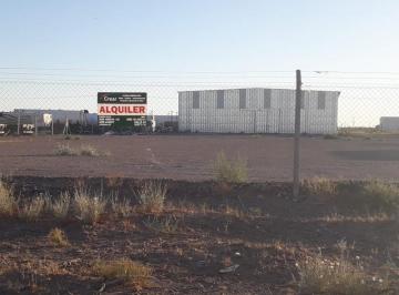 Bodega-Galpón · 1300m² · Galpón - Añelo