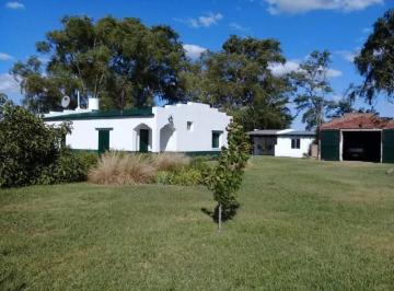 Campo de 5 ambientes, Rauch · Campo - Rauch