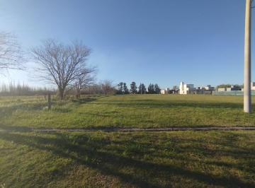 Terreno · 562m² · Lotes en Venta Barrio Abierto Residencial El Molino Roldán