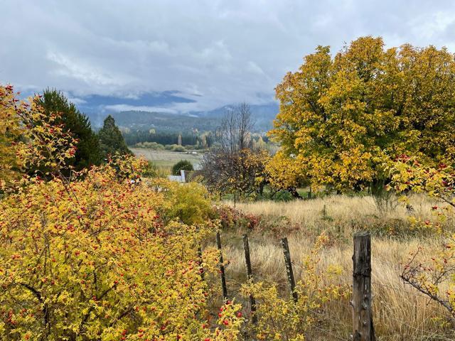 Campo · 25000m²
