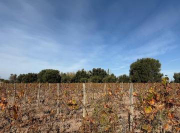 Campo · 64000m² · Adobe Vende Lote 6.4 Ha con 181 Mtrs de Frente a Calle Las Palmas y Se Encuent