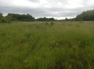 Campo , Ascochinga · Venta de Campo Serrano de 75 Ha en La Granja, Muy Próximo a Ascochinga