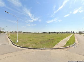Campo · 60000m² · Campo. Timbúes. Ideal Desarrollo.