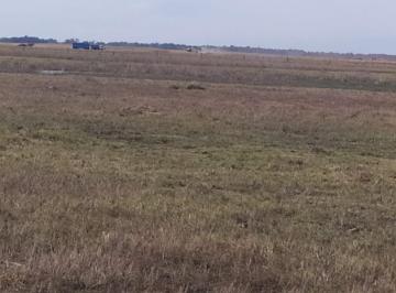 Campo · 1550000m² · 1 Ambiente · Excelente Campo Mixto de 155 Has con Mejoras