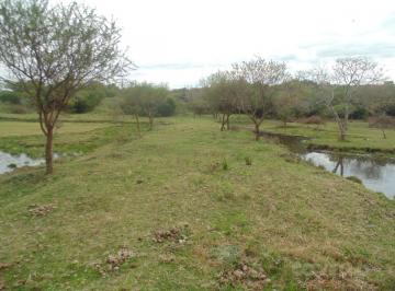 Campo · 14911m² · Chacra en Punta Gorda, Oportunidad