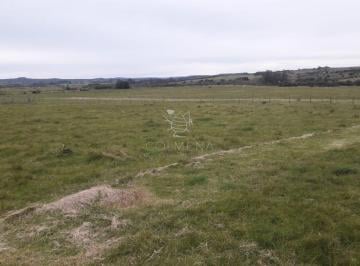 Foto1 · Campo a 5 Km de Pueblo Garzon - Coneat 106