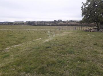 Foto1 · Campo en Garzón con Casa - Consulte!