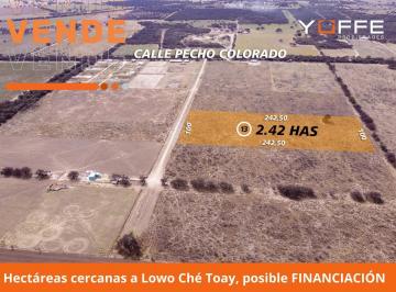Terreno · 24200m² · Terreno - Toay