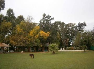 AVS-AVS-363_2 · Venta - Casa Quinta Llamada "La Deseada" de 4 Ambientes