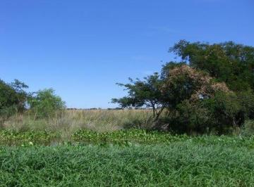 Campo , 9 de Julio · Campo de 2430 Ha en "Isla Verde" Helvecia, Pcia. de Santa Fe!
