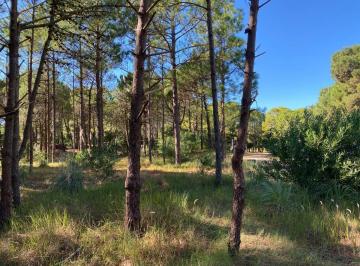 Terreno · 1116m² · Lote en Venta Selene E/ Helios y Av Shaw