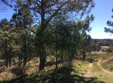 Terreno · 10745m² · Venta Excelente Hectárea - Tlc0356