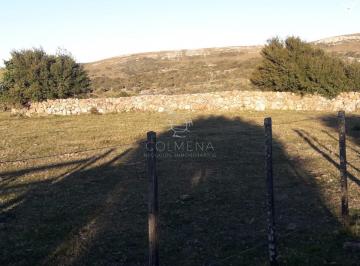 Foto1 · Campo 57 Has con Casco Antiguo