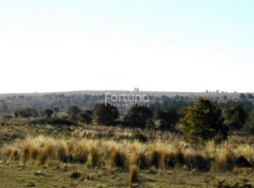 Terreno , Villa Yacanto · Venta de 80 Ha en Yacanto - Tlc0380